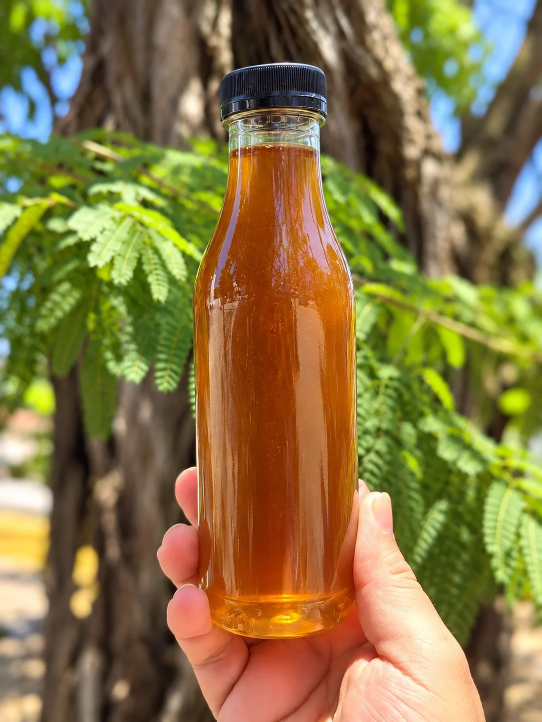Mel de Abelha - 500 ml — foto 1